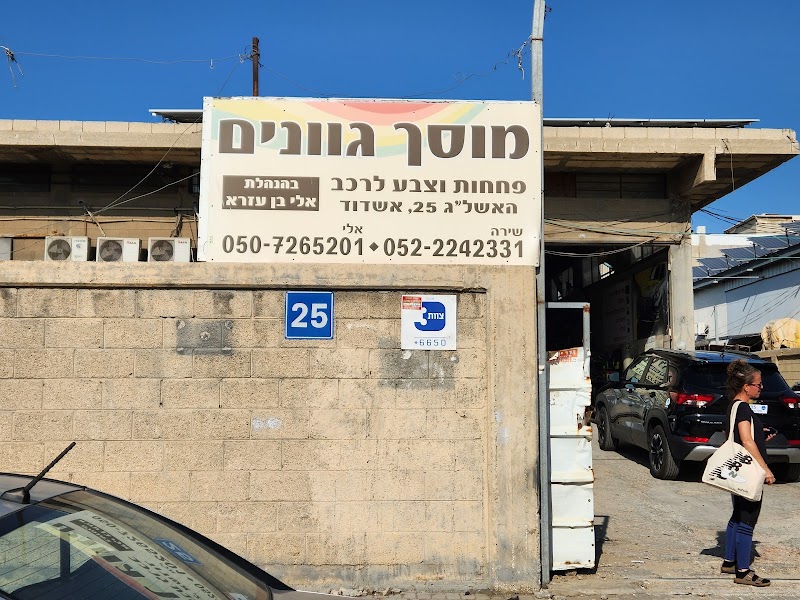 מוסך גוונים פחחות וצבע