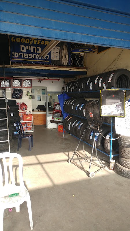 צמיגי שדמן שושנה