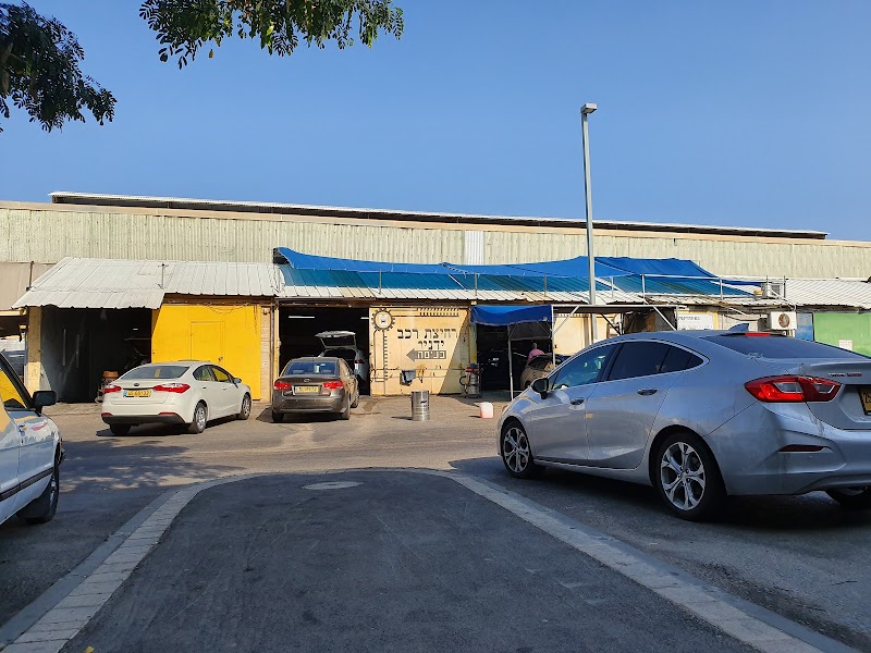 רחיצת מכוניות ידנית