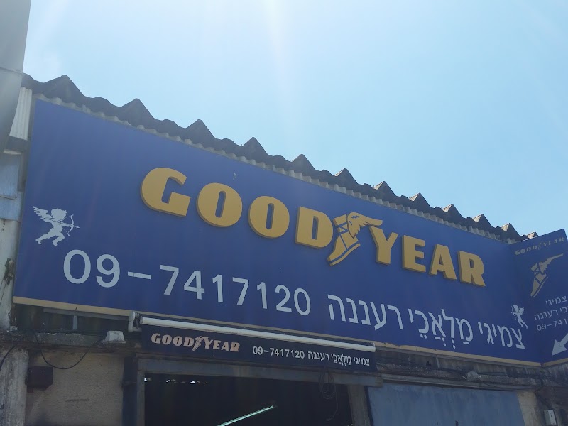 צמיגי מלאכי רעננה