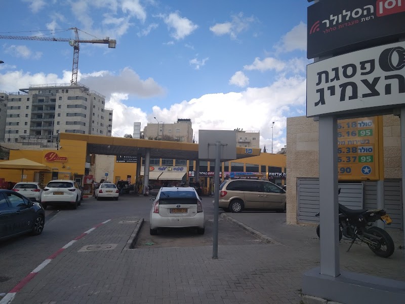 פסגת הצמיג