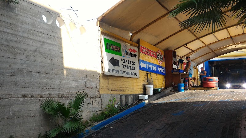 צמיגי פרויד