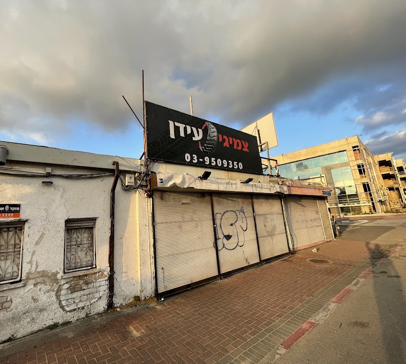 צמיגי עידן